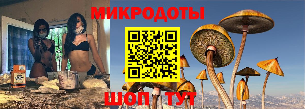 Галлюциногенные грибы Psilocybine cubensis Миасс