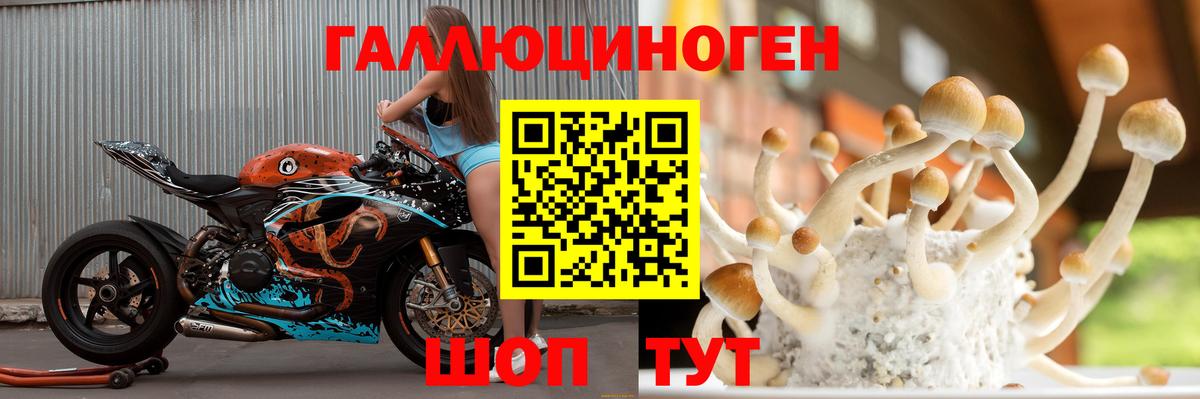 Псилоцибиновые грибы Psilocybe  Вход с VPN  Миасс 
